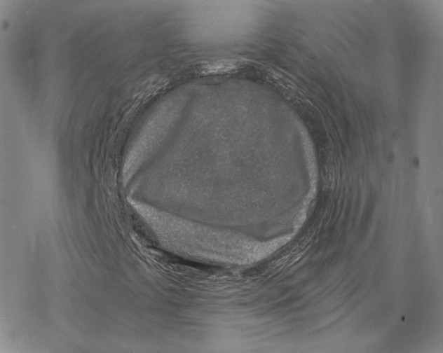 X0000076391441200610271541