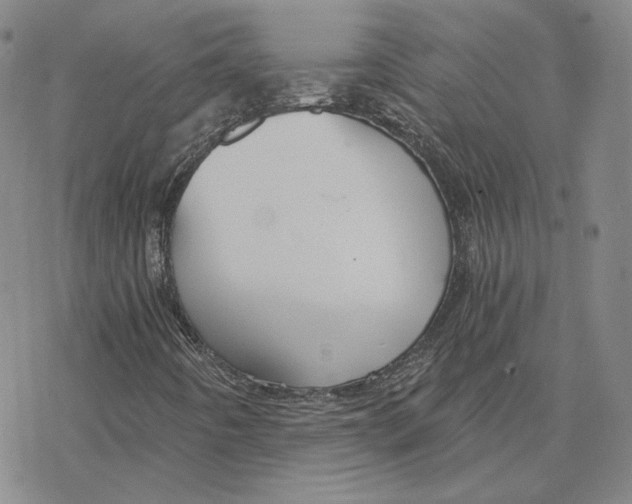 X0000076391442200610271541