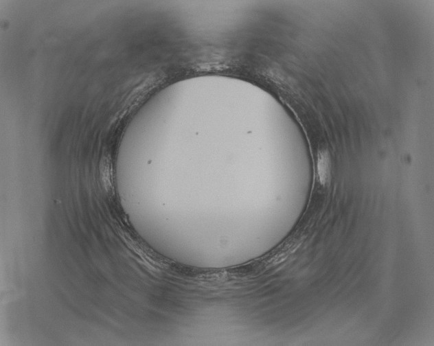 X0000076391444200610271541