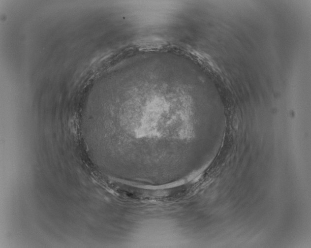 X0000076391445200610271541