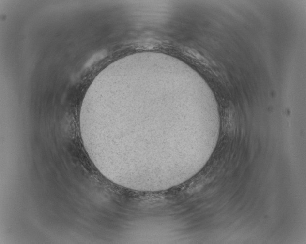 X0000076391446200610271541