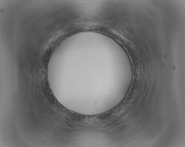 X0000076391447200610271541