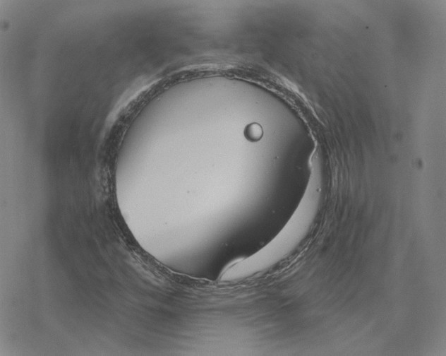 X0000076391448200610271541