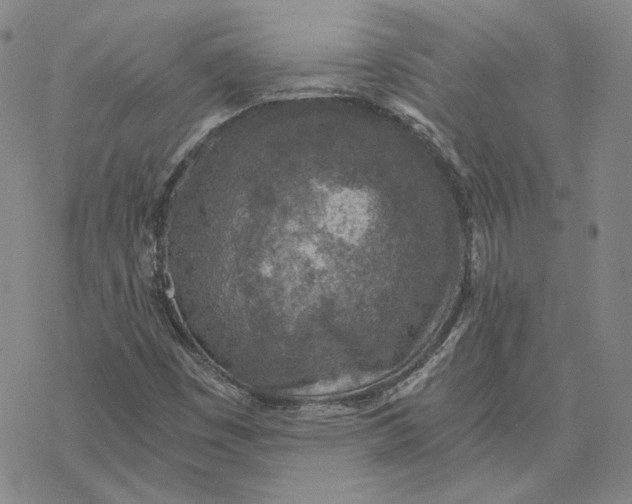 X0000076391449200610271541