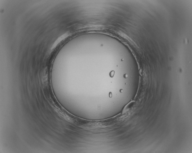 X0000076391450200610271541