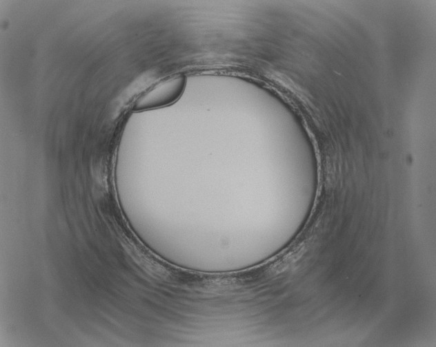 X0000076391451200610271541