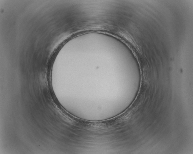 X0000076391452200610271541