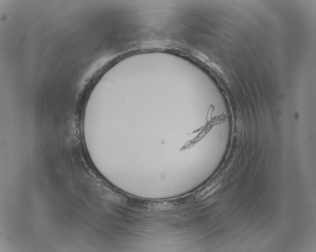 X0000076391454200610271541