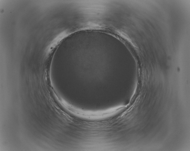 X0000076391455200610271541