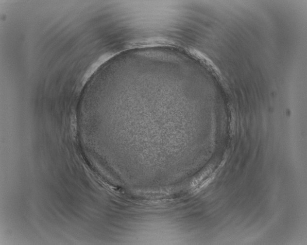 X0000076391457200610271541