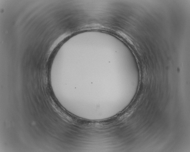 X0000076391458200610271541