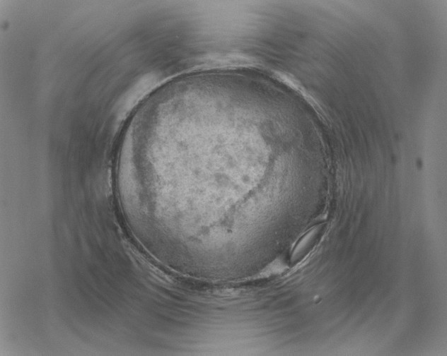 X0000076391459200610271541