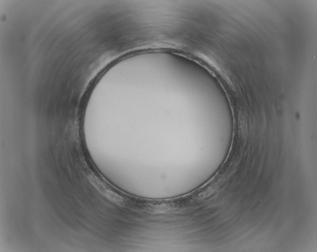 X0000076391460200610271541