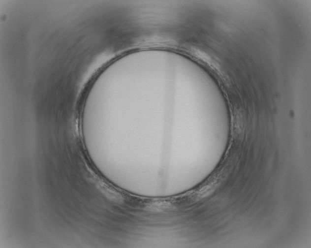 X0000076391462200610271541