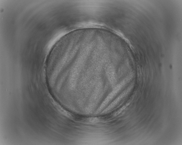 X0000076391463200610271541