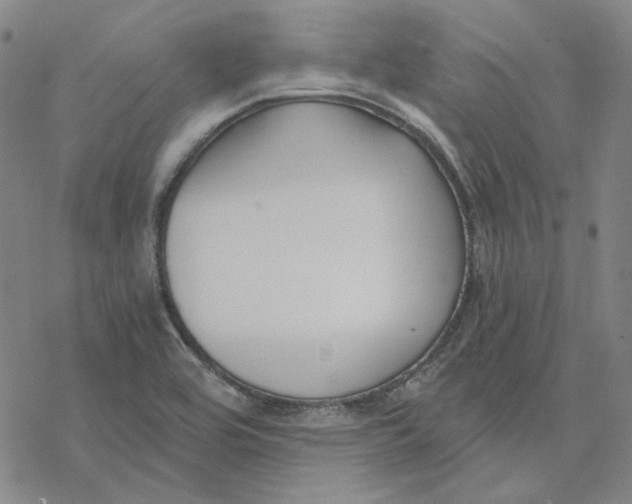 X0000076391464200610271541