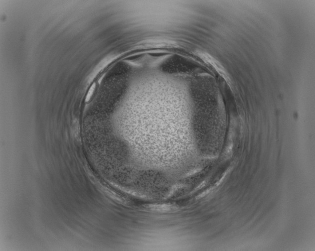 X0000076391465200610271541