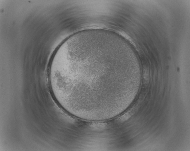 X0000076391466200610271541