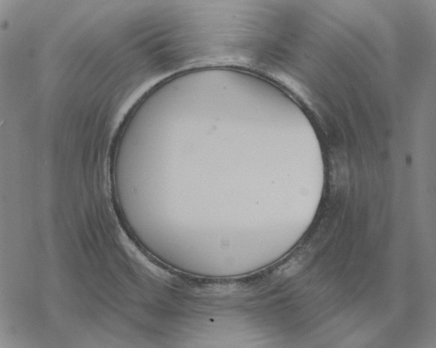 X0000076391468200610271541