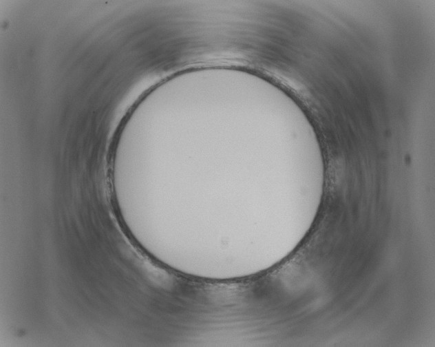 X0000076391470200610271541