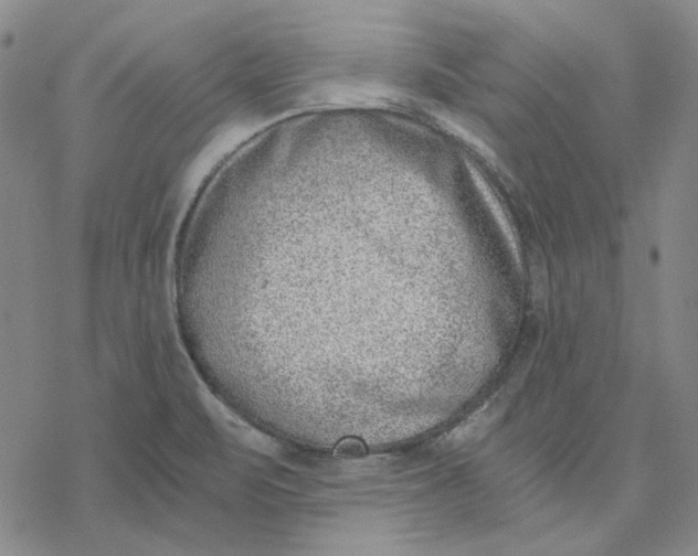 X0000076391471200610271541