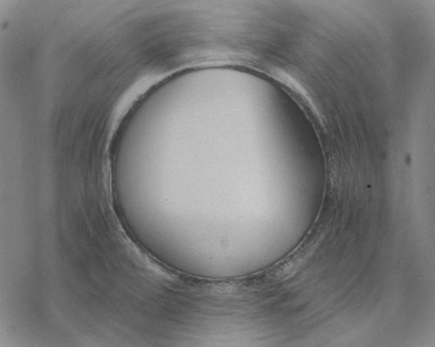 X0000076391472200610271541