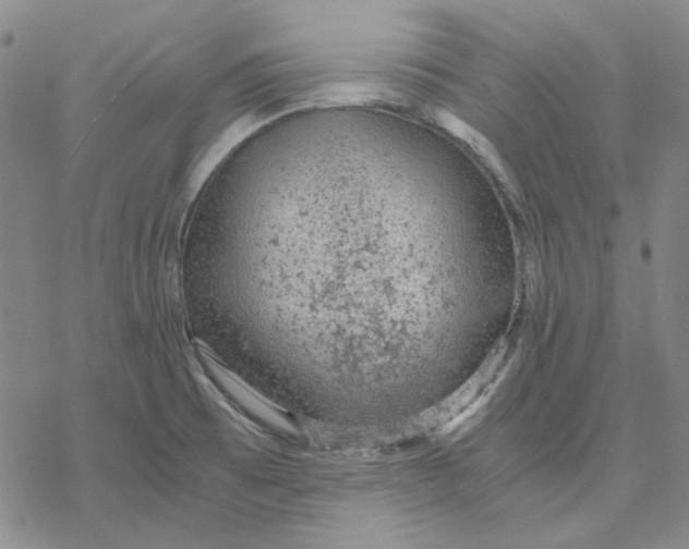 X0000076391473200610271541