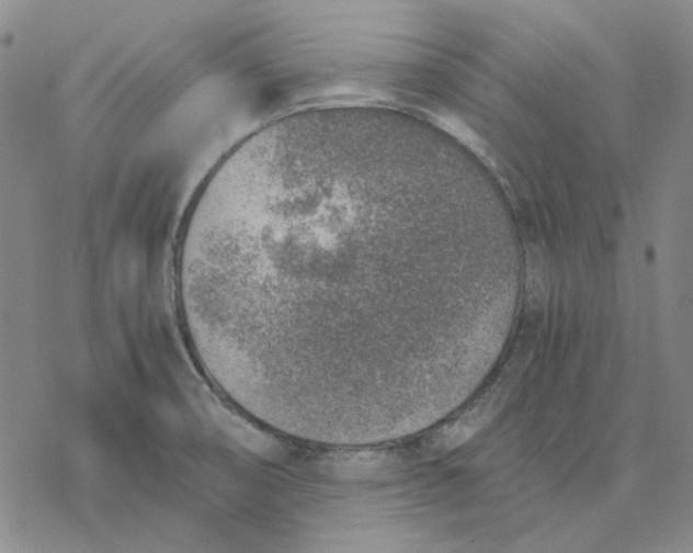 X0000076391474200610271541