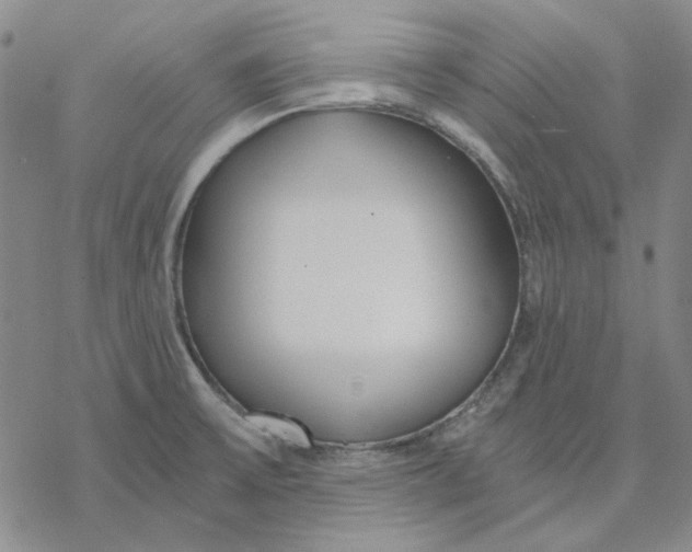 X0000076391475200610271541