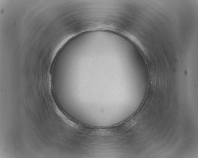 X0000076391476200610271540