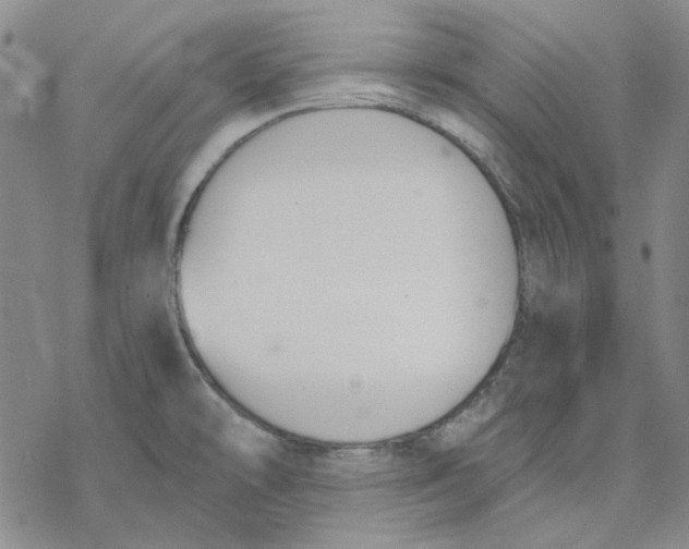 X0000076391478200610271540