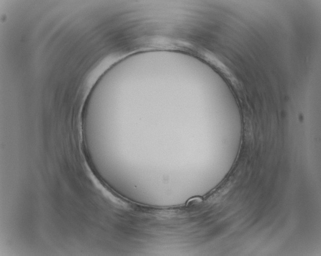 X0000076391479200610271540