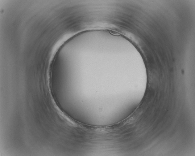 X0000076391480200610271540