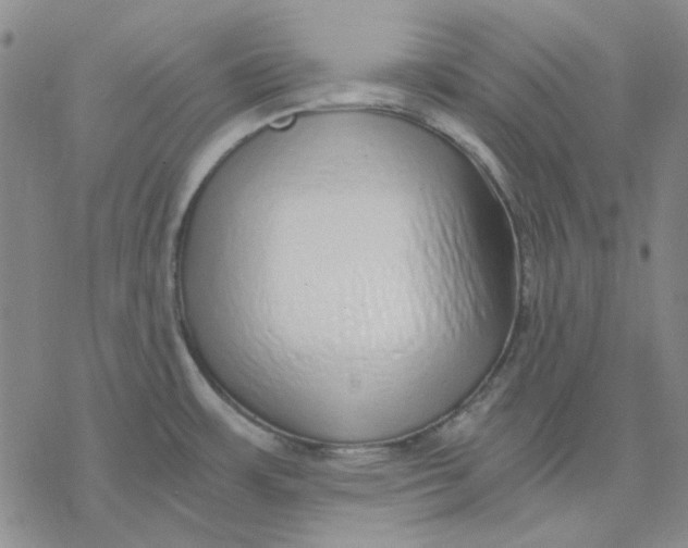 X0000076391483200610271540