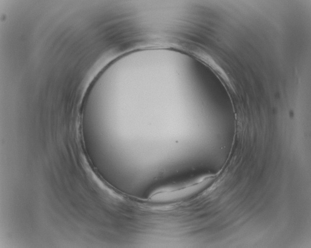 X0000076391484200610271540