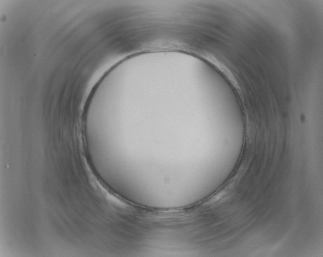 X0000076391486200610271540