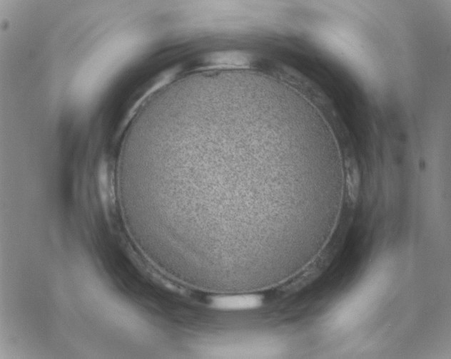 X0000076391487200610271540