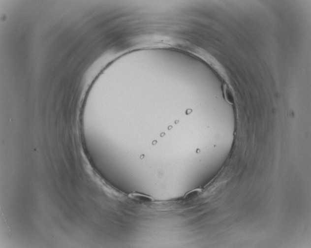 X0000076391488200610271540