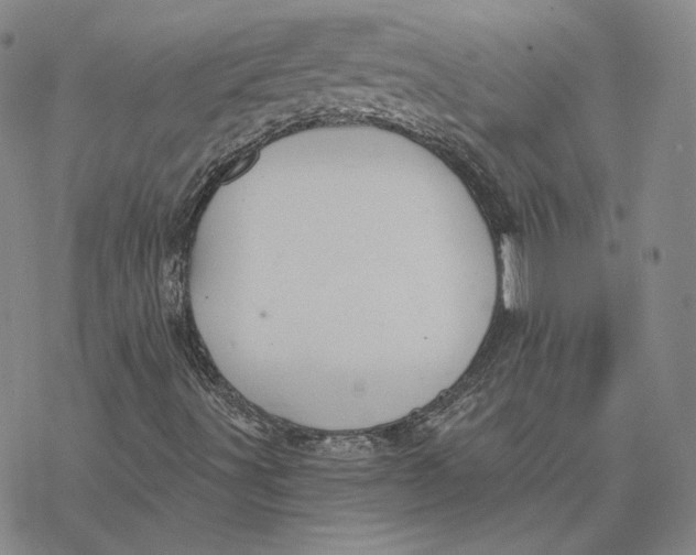 X0000076391491200610271540