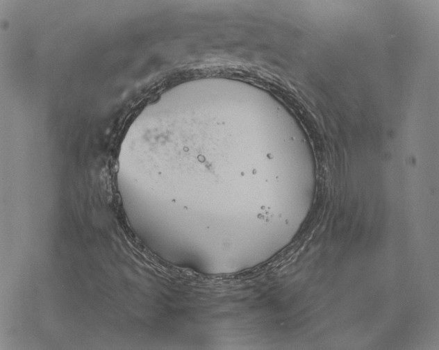 X0000076391493200610271540