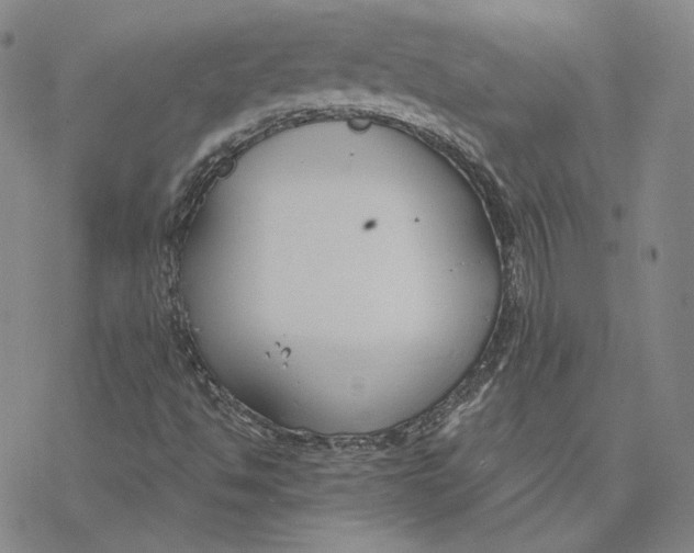 X0000076391494200610271540