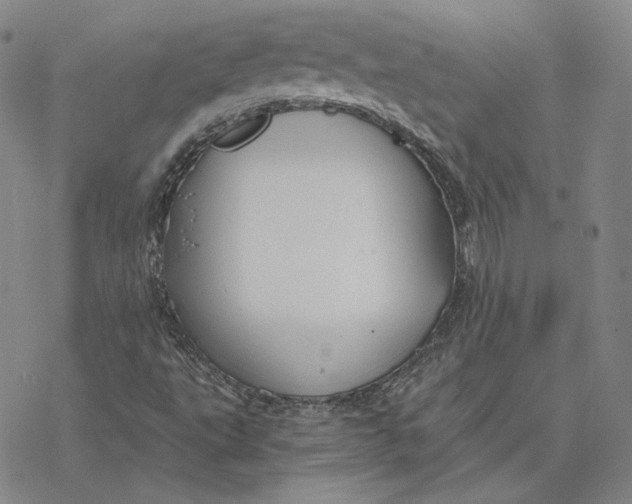 X0000076391495200610271540