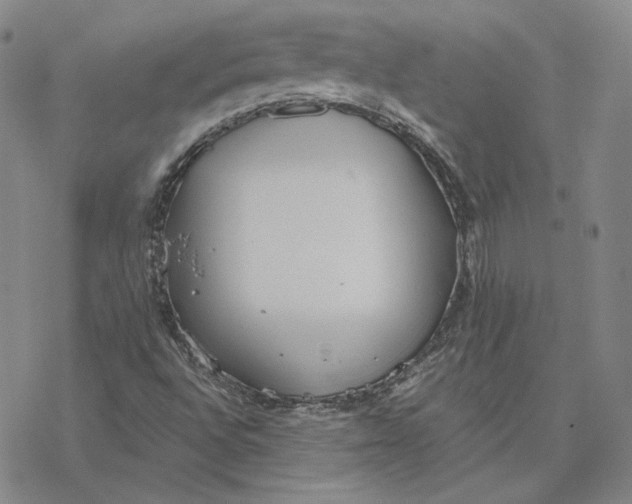 X0000076391496200610271540