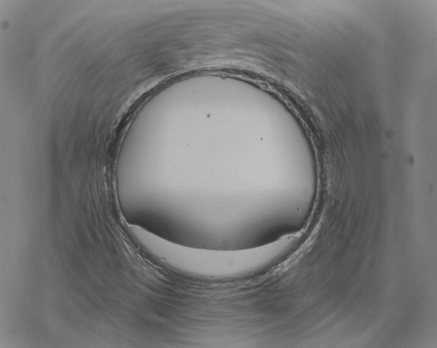 X0000076391497200610271540