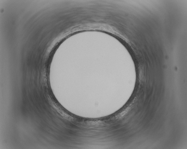 X0000076391498200610271540