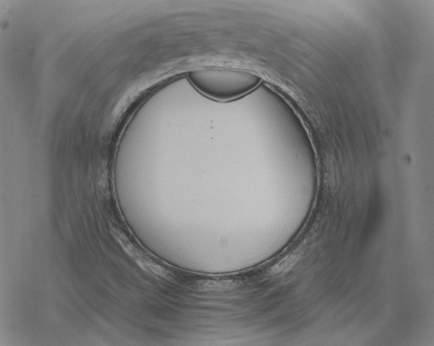 X0000076391499200610271540