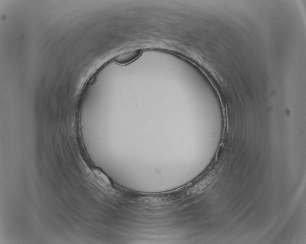 X0000076391500200610271540