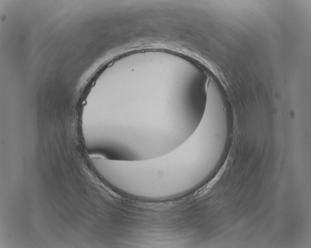 X0000076391502200610271540