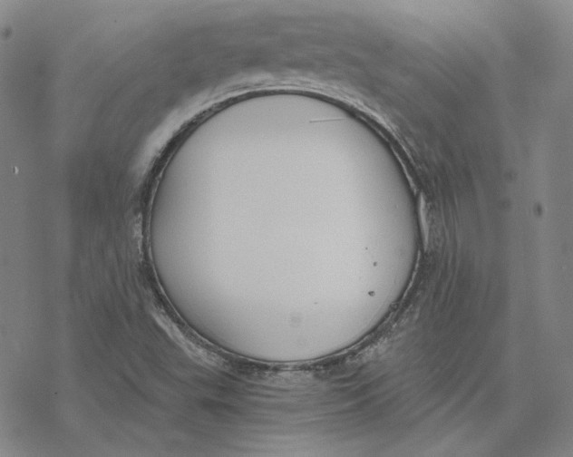 X0000076391503200610271540