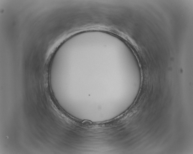 X0000076391504200610271540